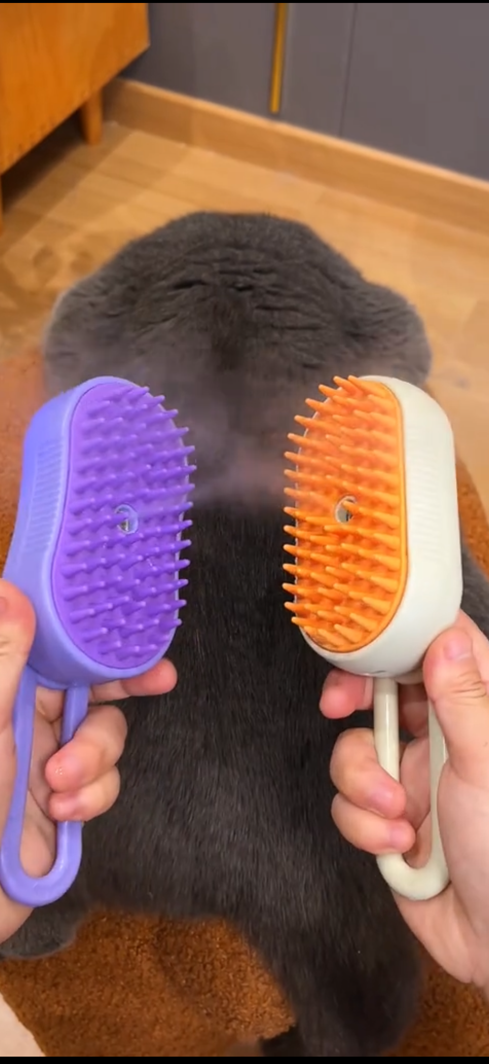 Brosse toilettage à vapeur 3 en 1 - VAPOPOIL
